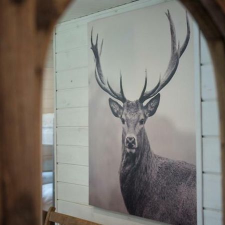 Chalet Le Grand Cerf Bullange Exteriör bild