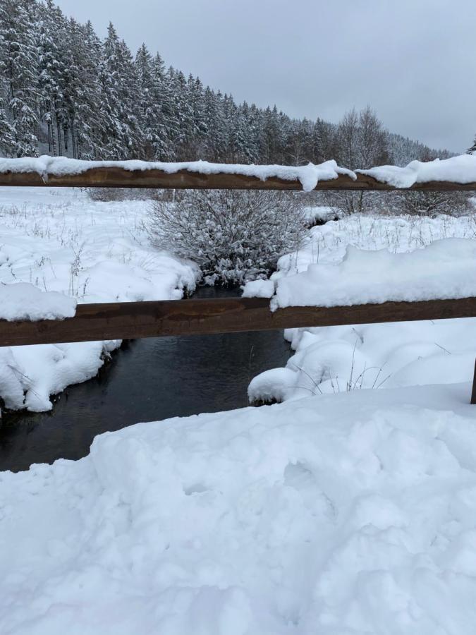 Chalet Le Grand Cerf Bullange Exteriör bild
