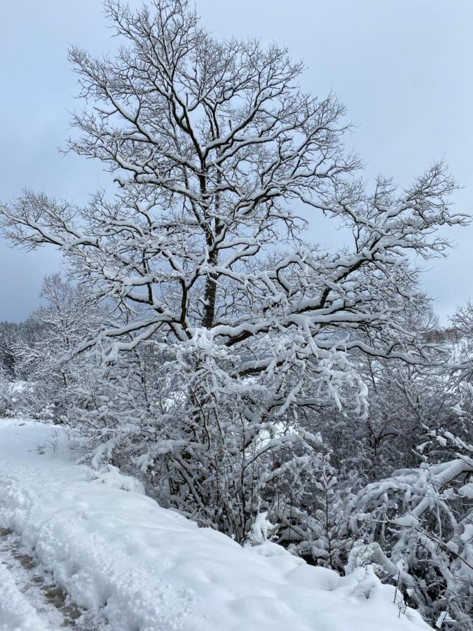 Chalet Le Grand Cerf Bullange Exteriör bild