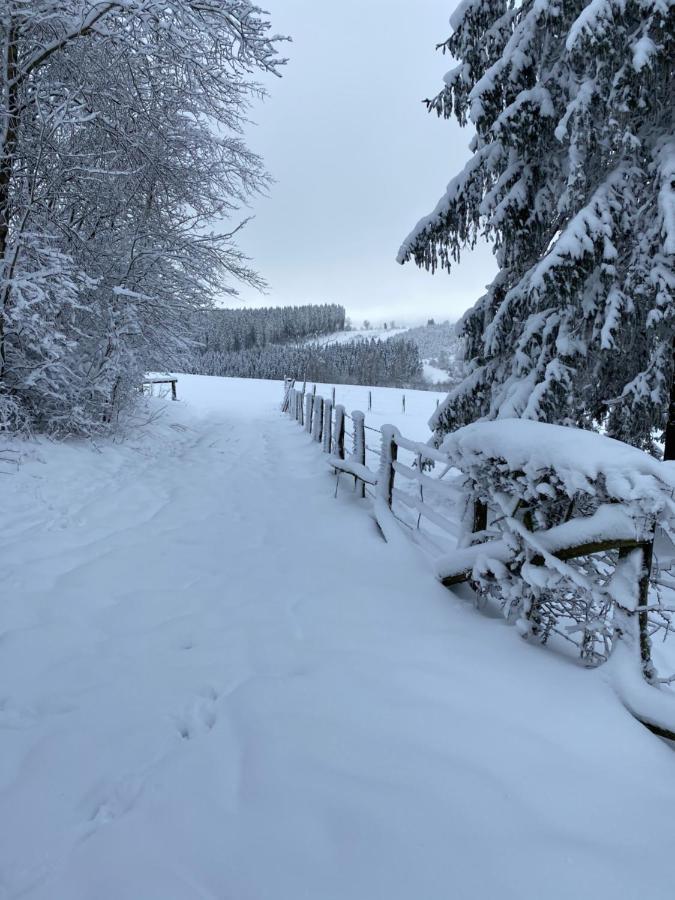 Chalet Le Grand Cerf Bullange Exteriör bild
