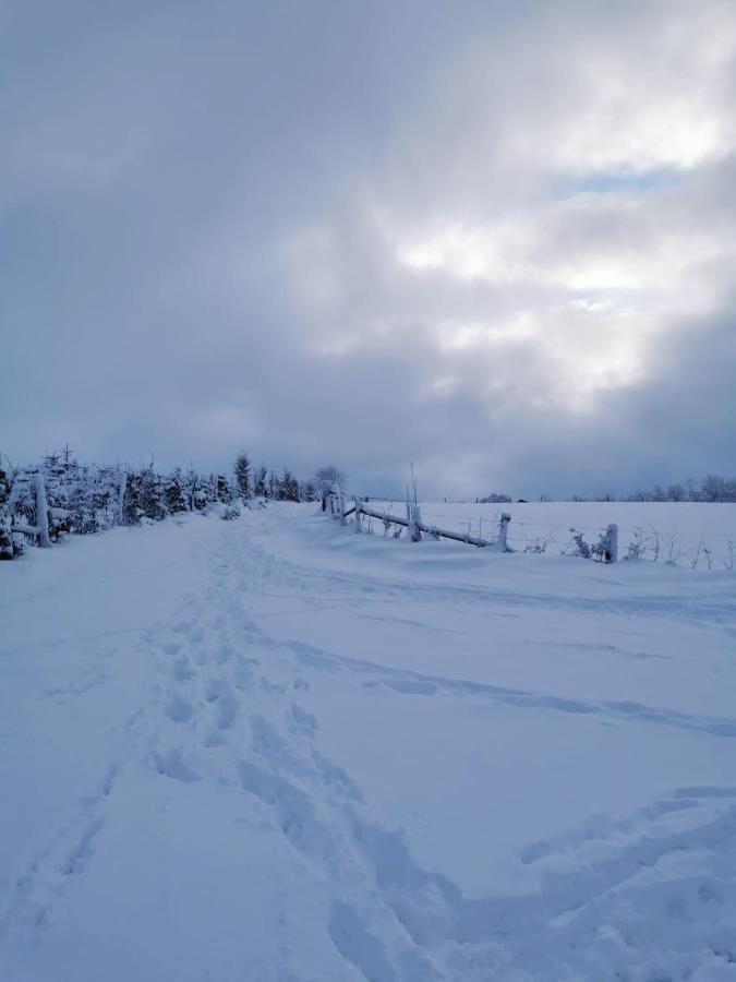 Chalet Le Grand Cerf Bullange Exteriör bild