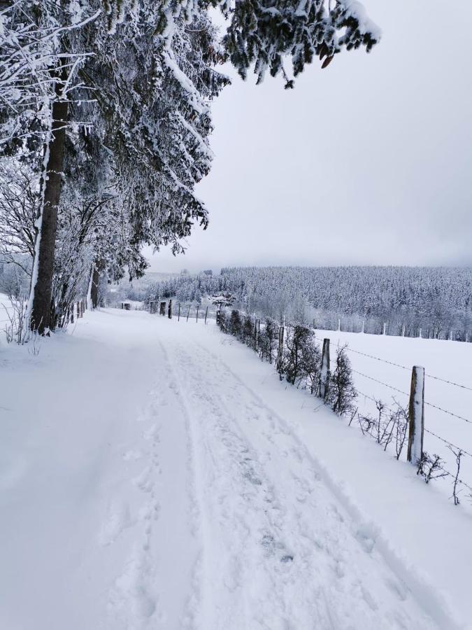 Chalet Le Grand Cerf Bullange Exteriör bild