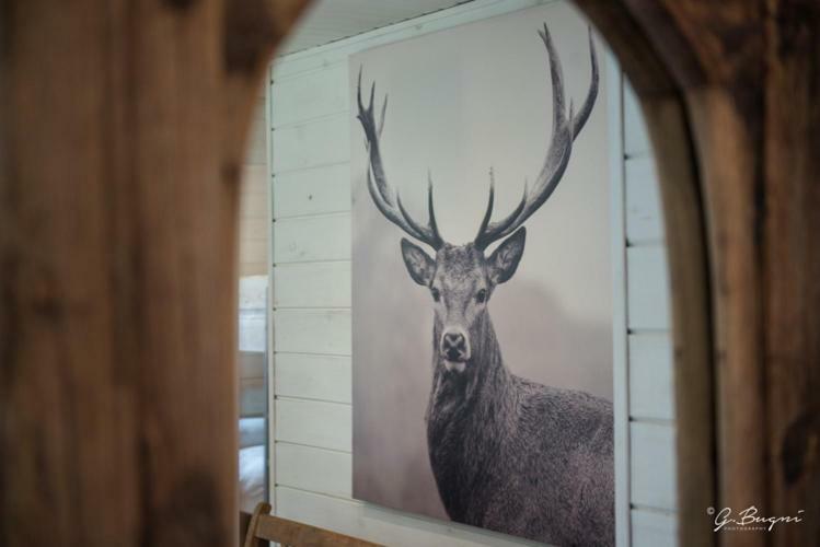 Chalet Le Grand Cerf Bullange Exteriör bild