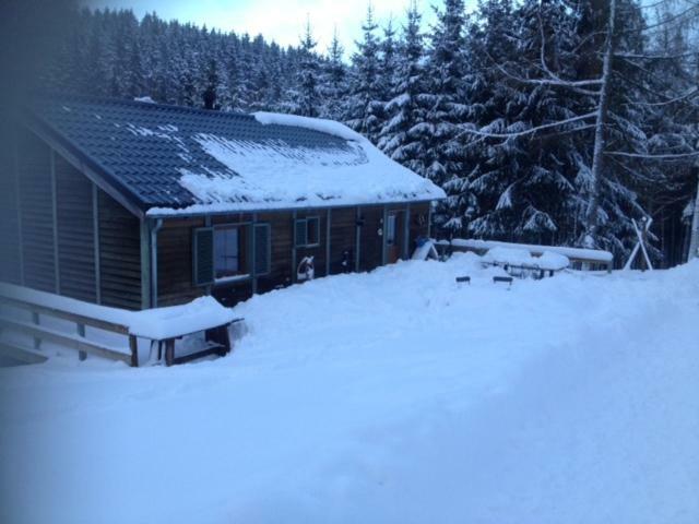 Chalet Le Grand Cerf Bullange Exteriör bild